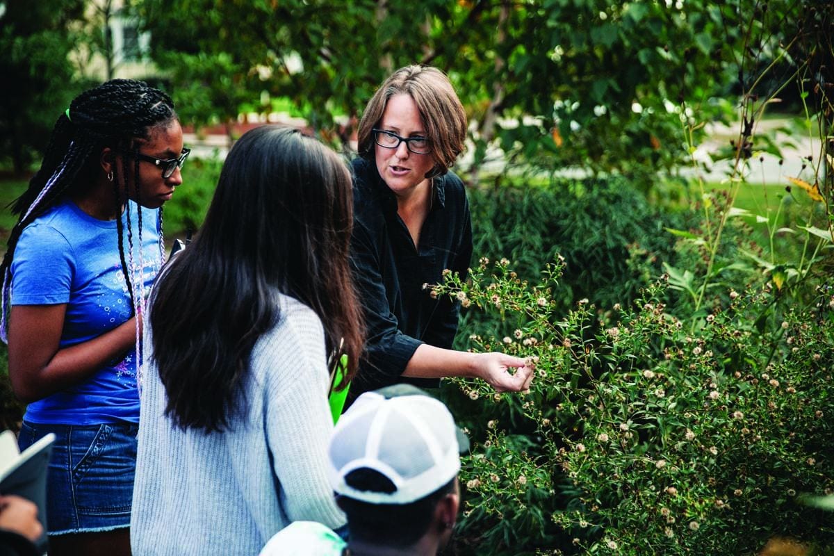 Dr. Maia F. Bailey, associate professor of biology, shows flowers in the bioswale on campus to Sandra-Kelly Atkinson ’18, left, and Allison Andrade ’20, as part of the course Field Botany: Observing Nature.