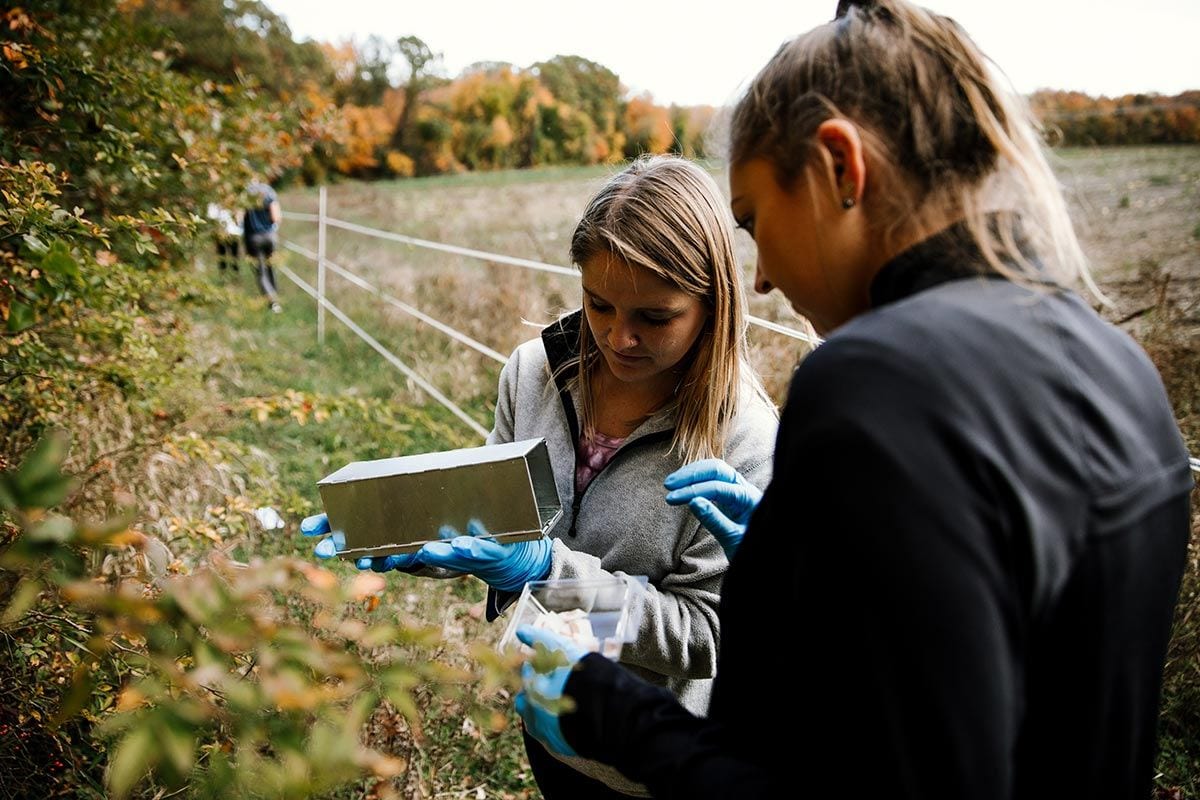 Sarah Mealey '17, left, and Danielle Peach '17 check a live-trap for white-footed mice. It was part of a project in their Wildlife Biology and Conservation course to evaluate population densities and habitat use of the mouse species at a forest and farm in Warren, R.I.