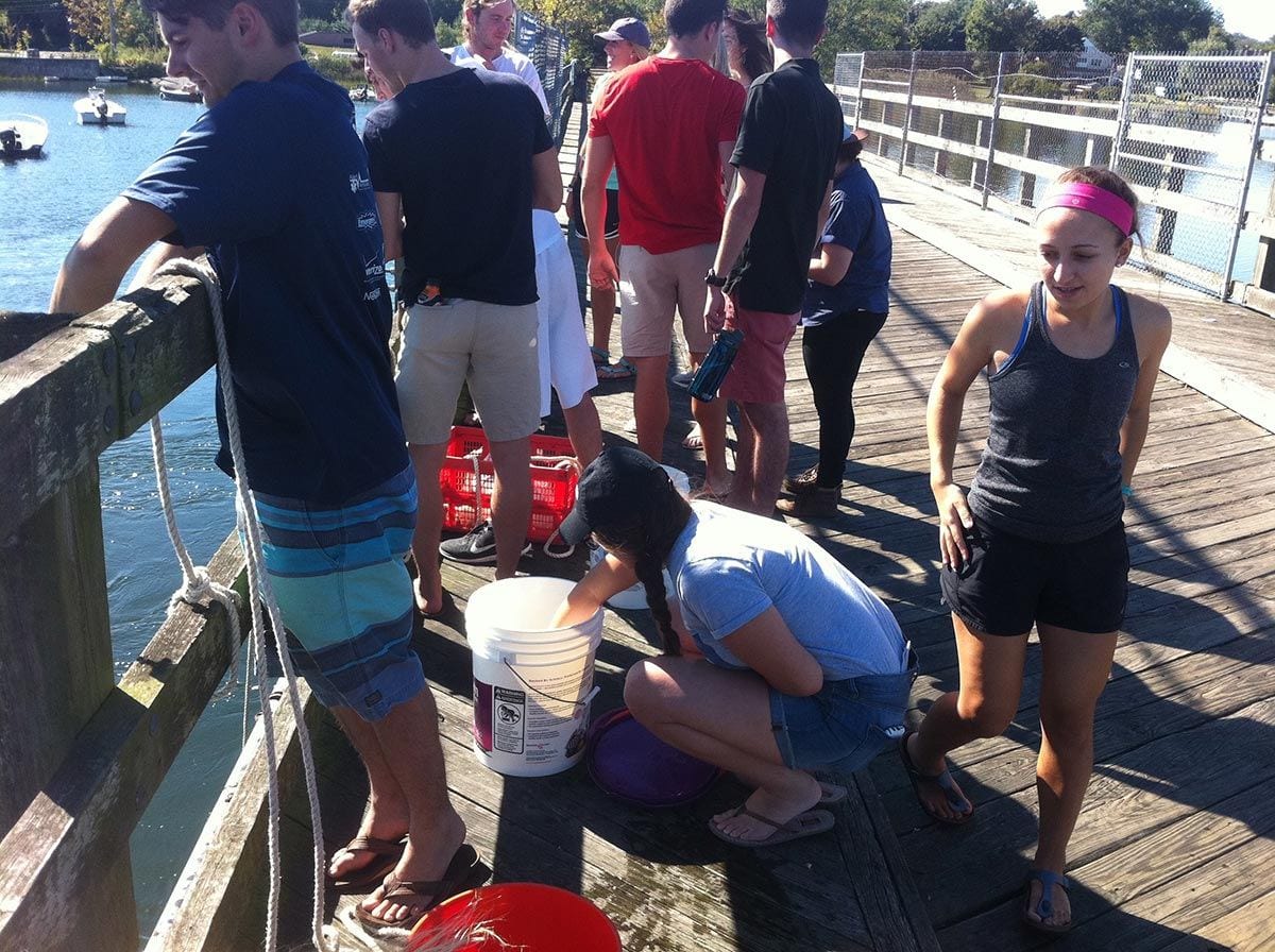 Students in Dr. Jack Costello's Marine Biology course take water samples from a bridge along the East Bay bike path in Barrington.
