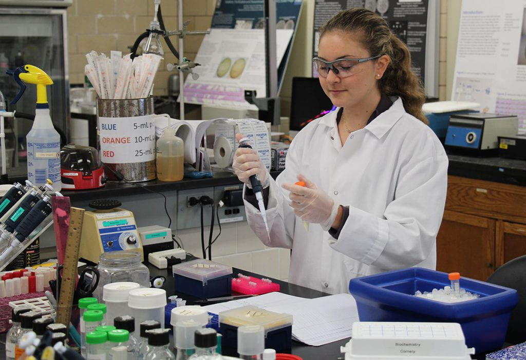 Olivia Schmitt '22 works with phage in the laboratory of Dr. Kathleen A. Cornely, professor of chemistry.