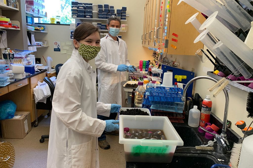 Katelyn Hino ’21 and her mentor, Dr. Brett J. Pellock, in the Hickey Hall lab