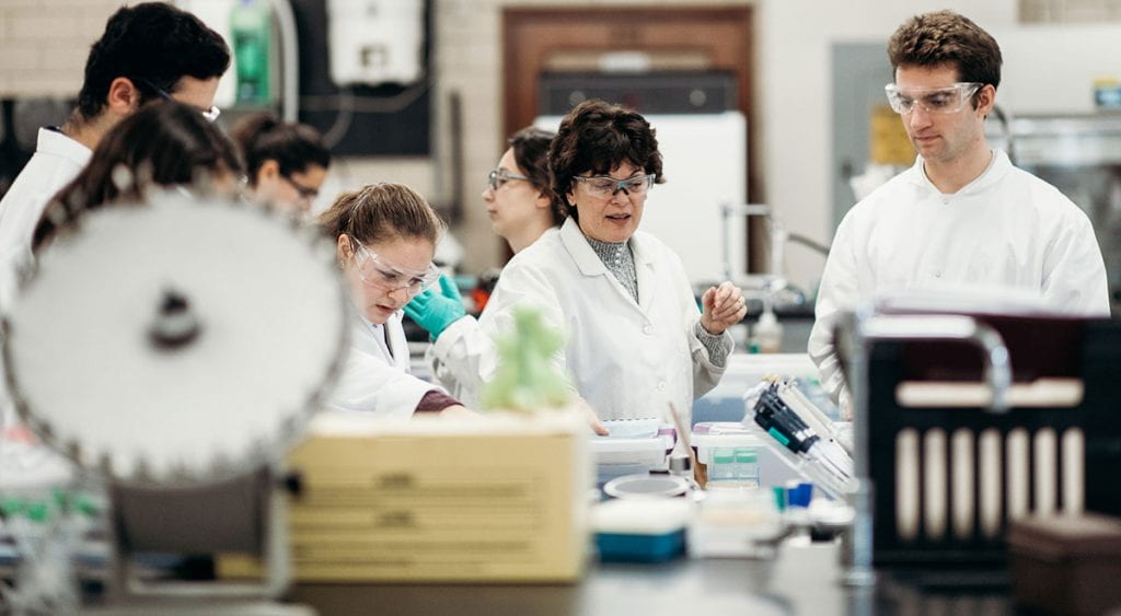 Dr. Kathleen A. Cornely supervises student researchers in her laboratory at Providence College.