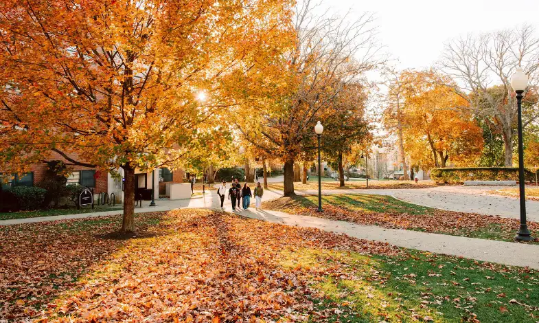 fall leaves at PC