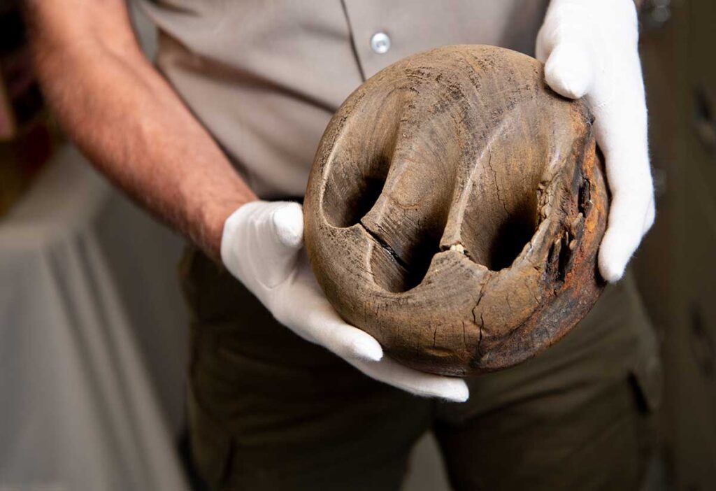 This well-preserved object is a deadeye, used in the rigging of traditional sailing ships. It was found by a visitor near the Marconi Wireless Station Site in South Wellfleet. Bill Burke '84 says it was probably part of the support system for four 200-foot towers that helped transmit Guglielmo Marconi's first transatlantic wireless message between Europe and America in 1903.