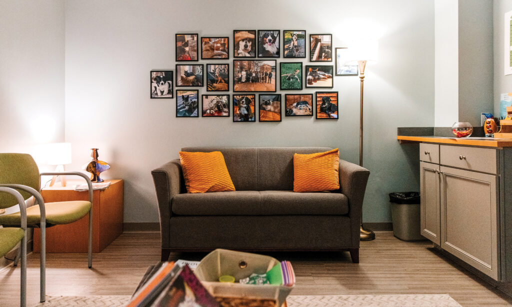 The waiting area features relaxation items, below, and a photo collage of the staff’s pets.